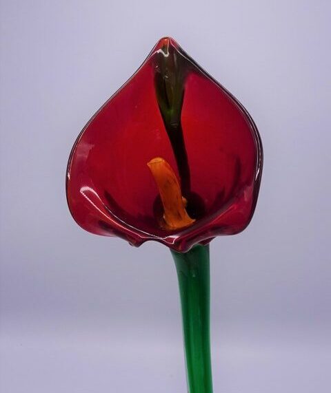 Eerlijk & Werelds glas bloem Anthurium rood