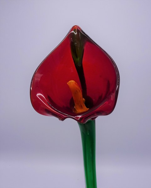 Eerlijk & Werelds glas bloem Anthurium rood