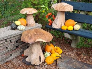 Herfst in huis en tuin met deze paddenstoelen